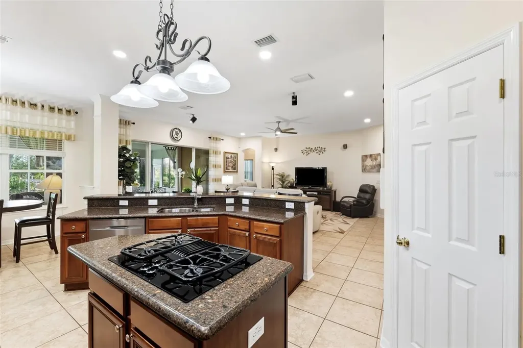 19737 Prince Benjamin Drive Lutz FL 33549