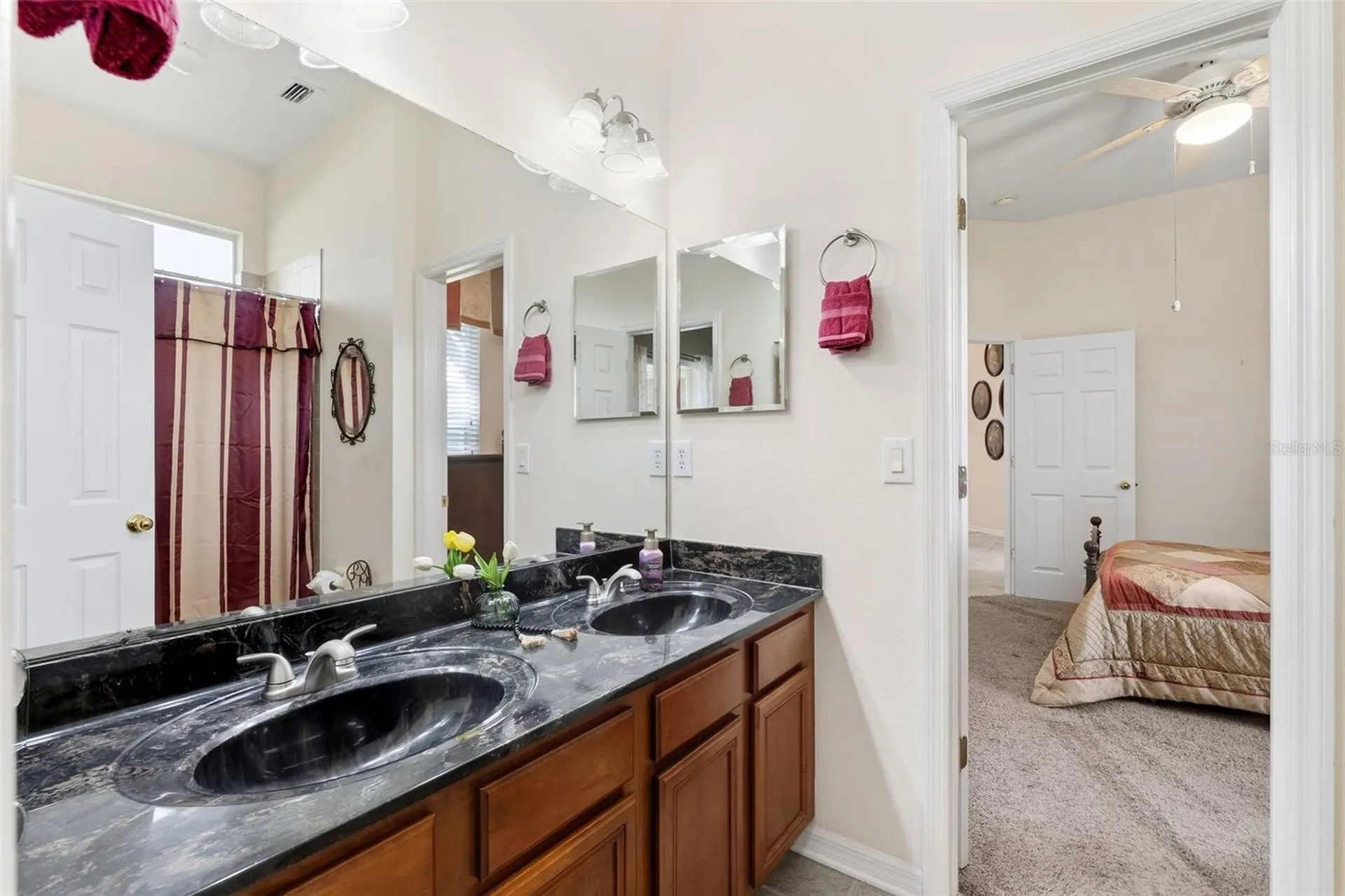 19737 Prince Benjamin Drive Lutz FL 33549