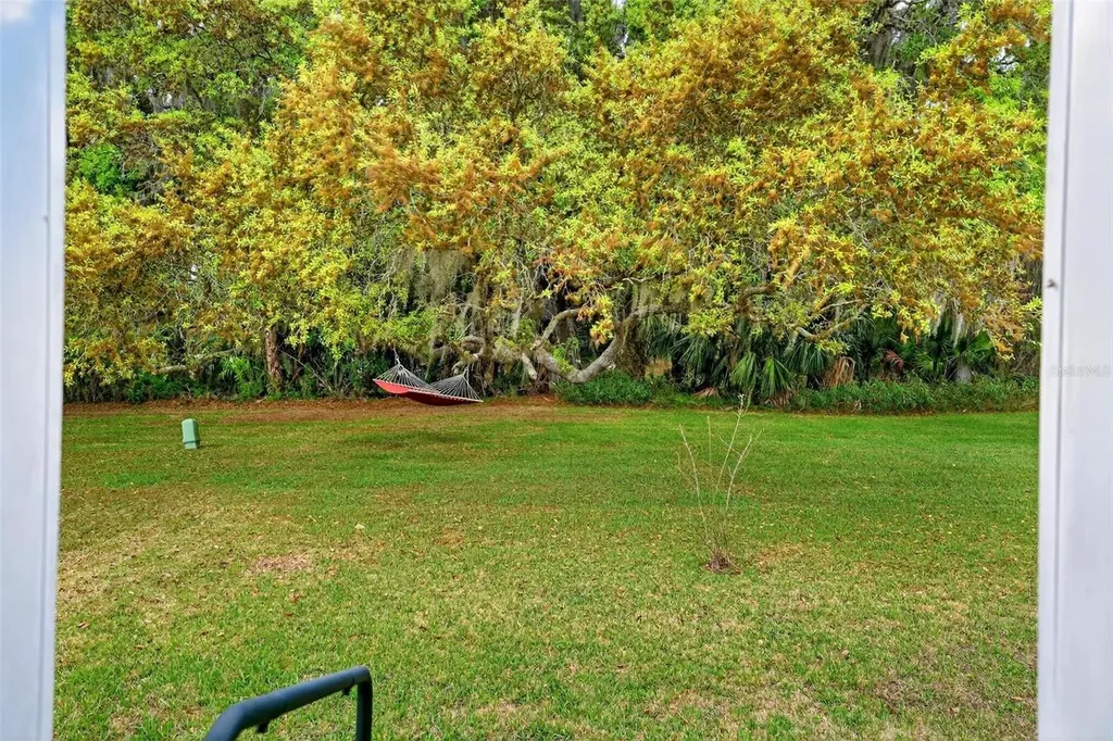 7 Cocos Plumosa Drive Eustis FL 32726