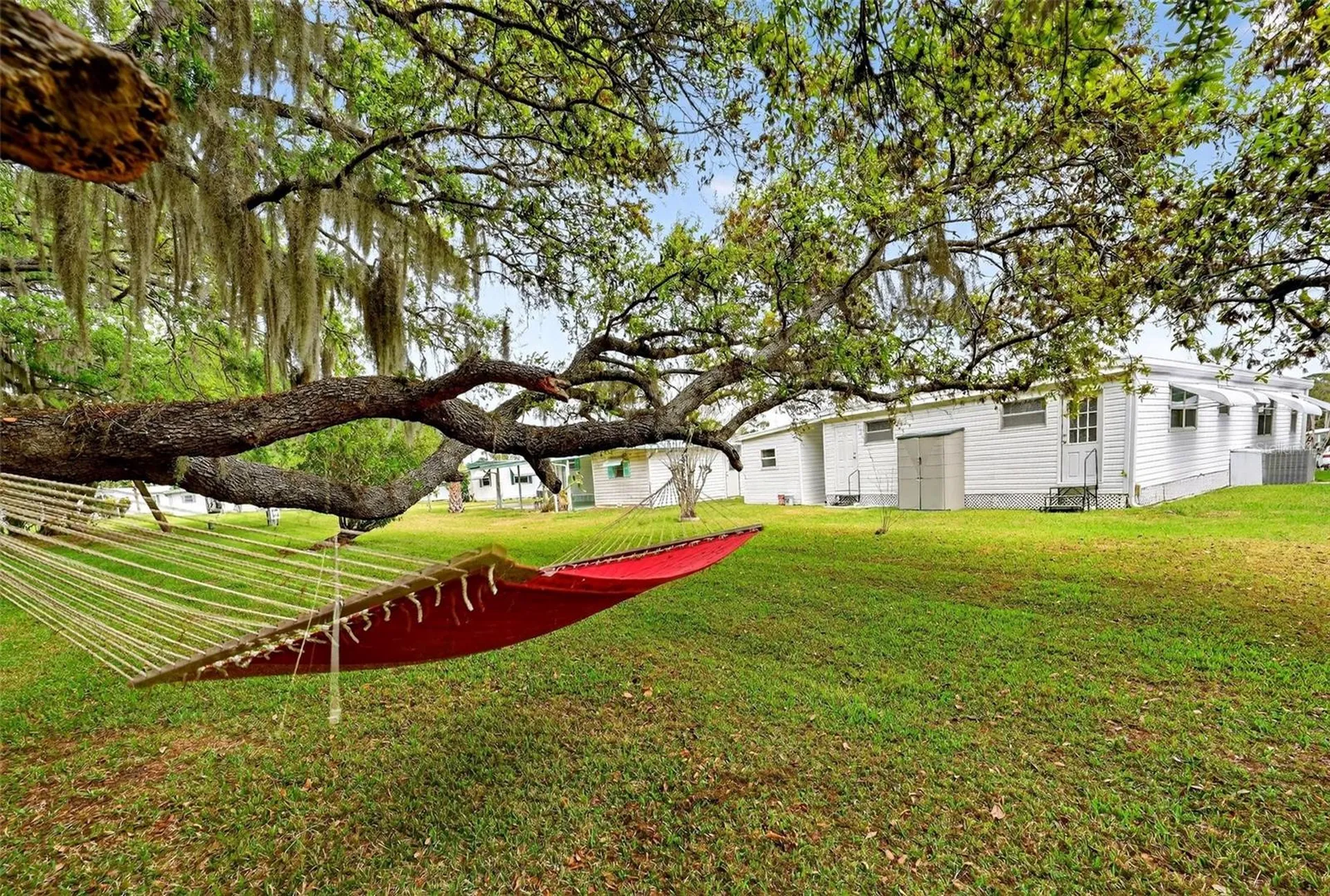7 Cocos Plumosa Drive Eustis FL 32726