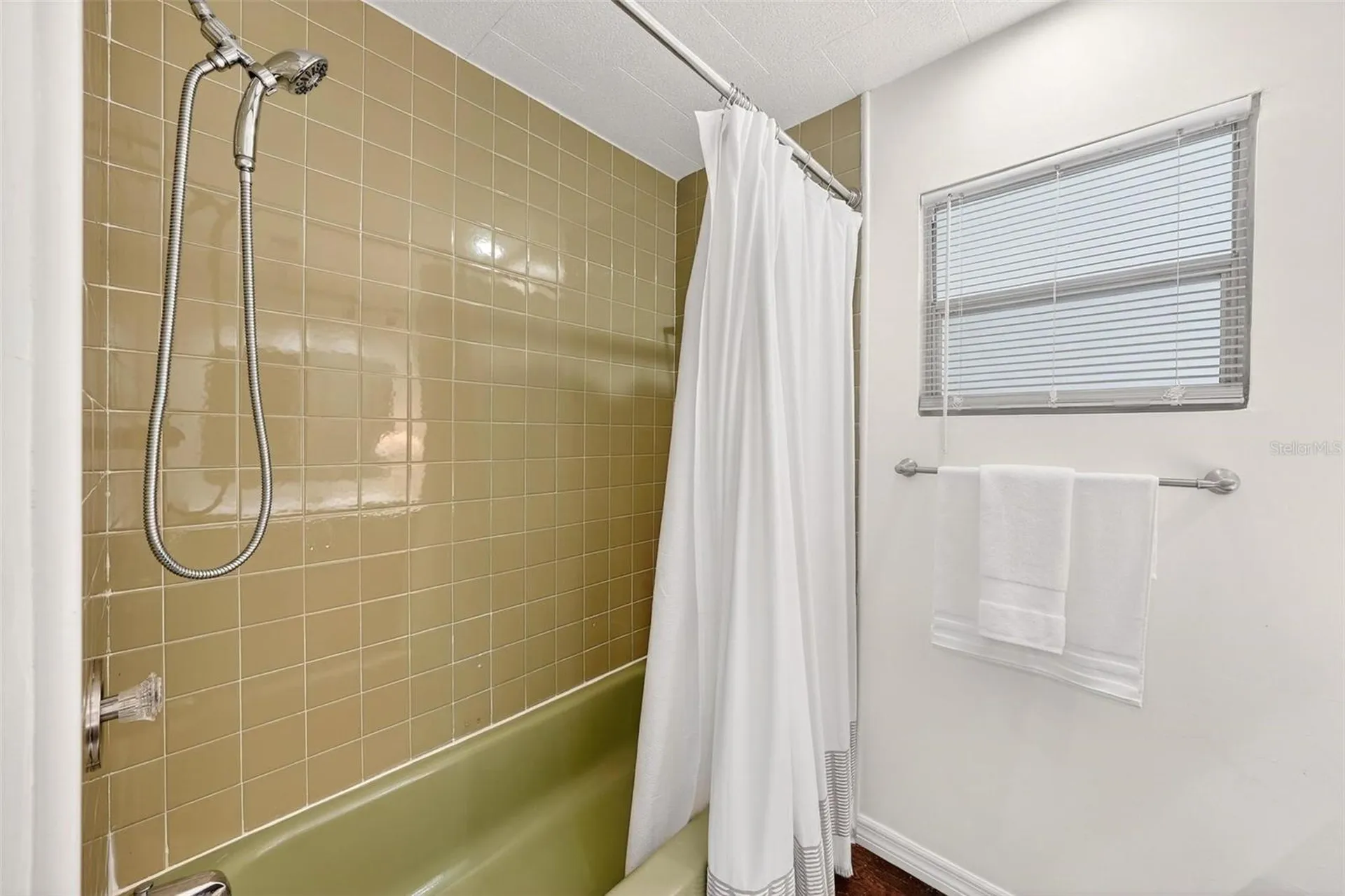 7 Cocos Plumosa Drive Eustis FL 32726