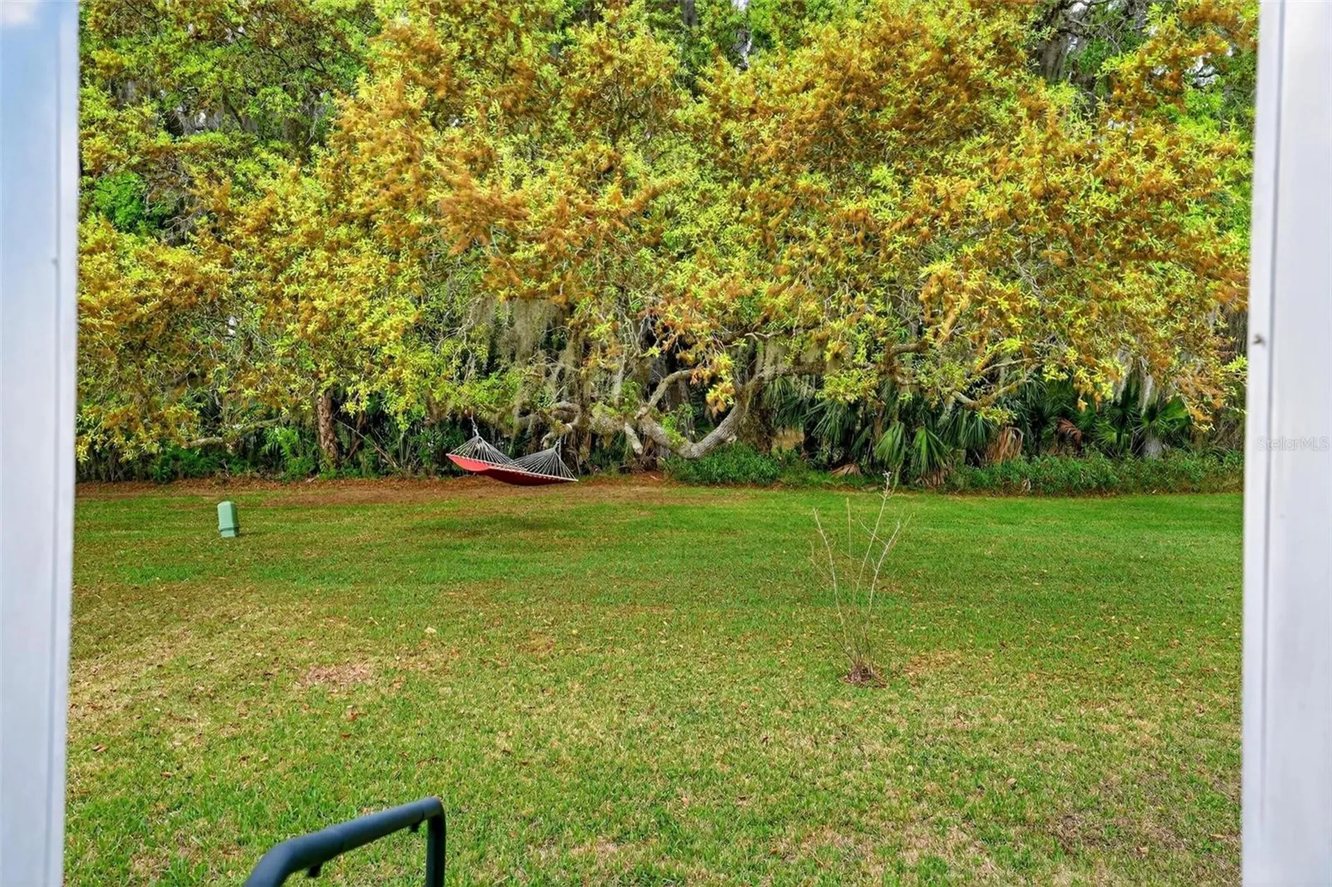 7 Cocos Plumosa Drive Eustis FL 32726
