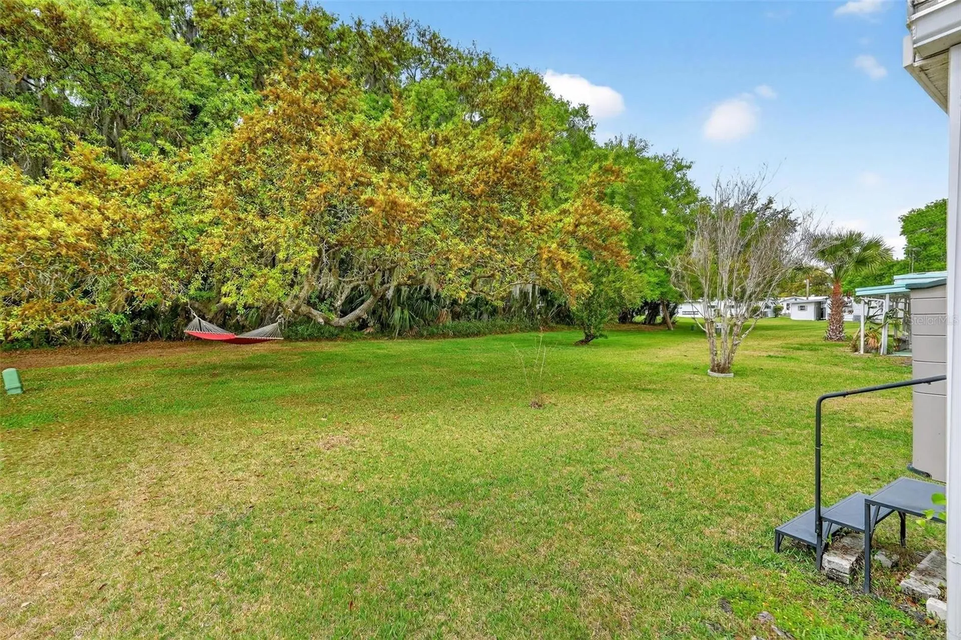 7 Cocos Plumosa Drive Eustis FL 32726