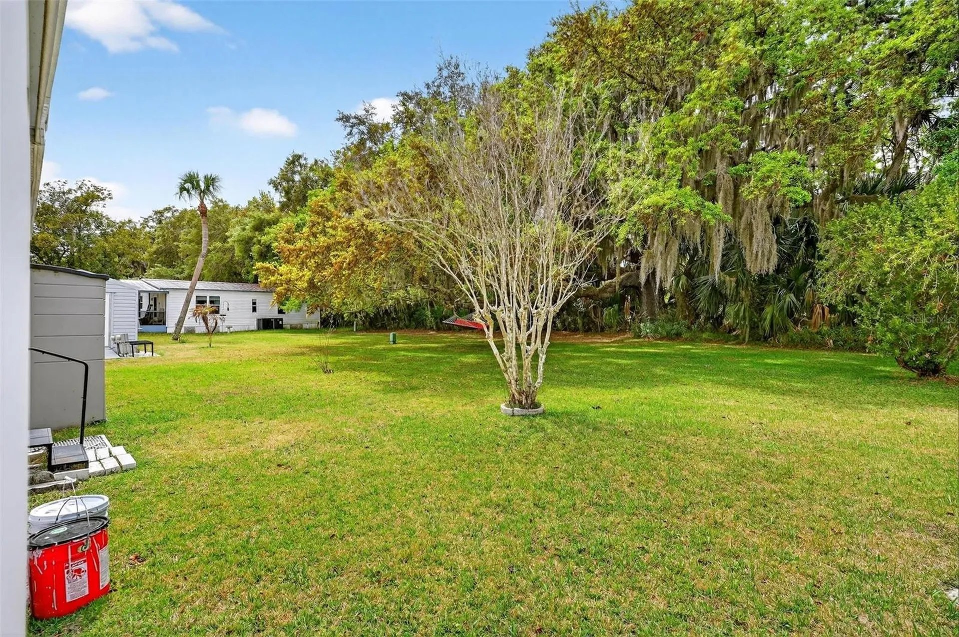 7 Cocos Plumosa Drive Eustis FL 32726