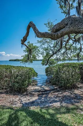 1111 N Bayshore Boulevard Clearwater FL 33759