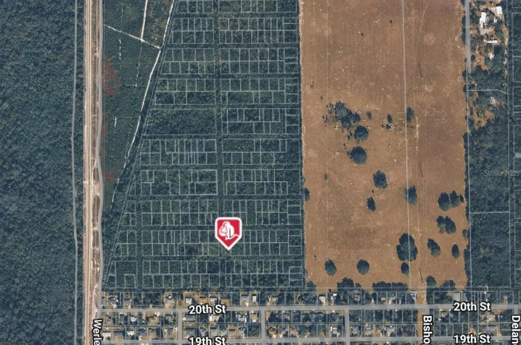 No Name No Name-2309733 Deland FL 32720