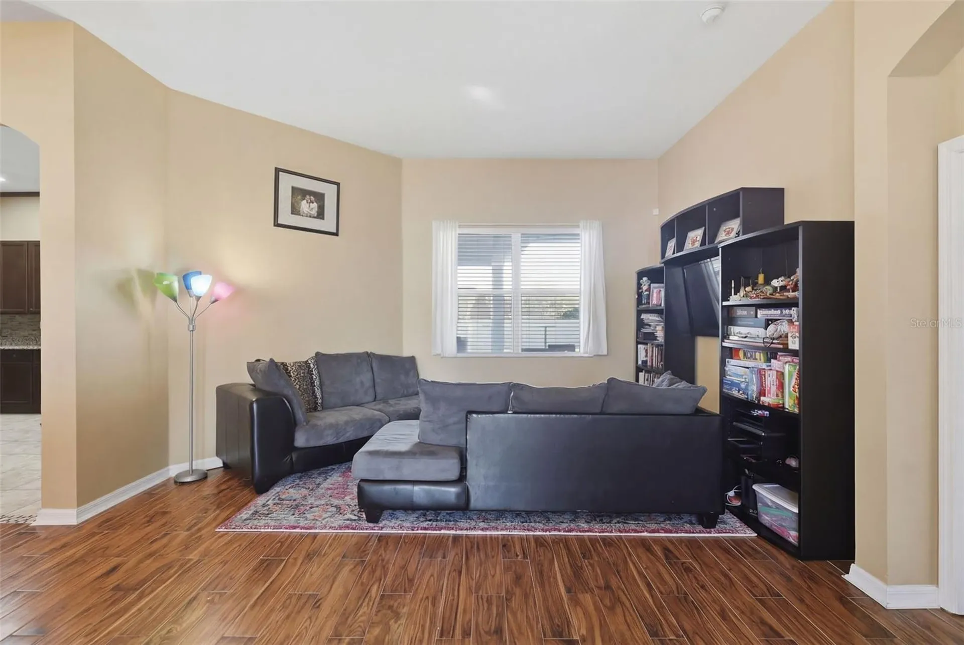 705 Ostrich Fern Lane Deland FL 32720