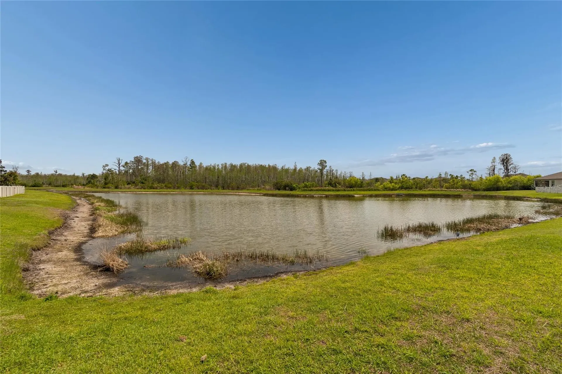8960 Shadyside Lane Land O Lakes FL 34637