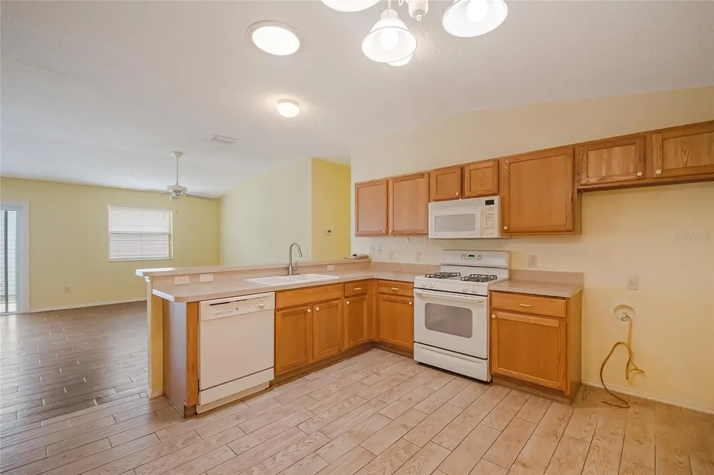 2454 Southern Oak Street The Villages FL 32162