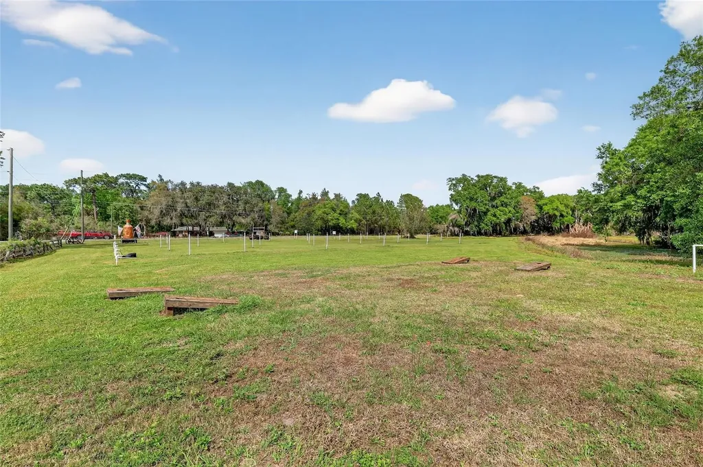 26921 Bloomfield Avenue Yalaha FL 34797