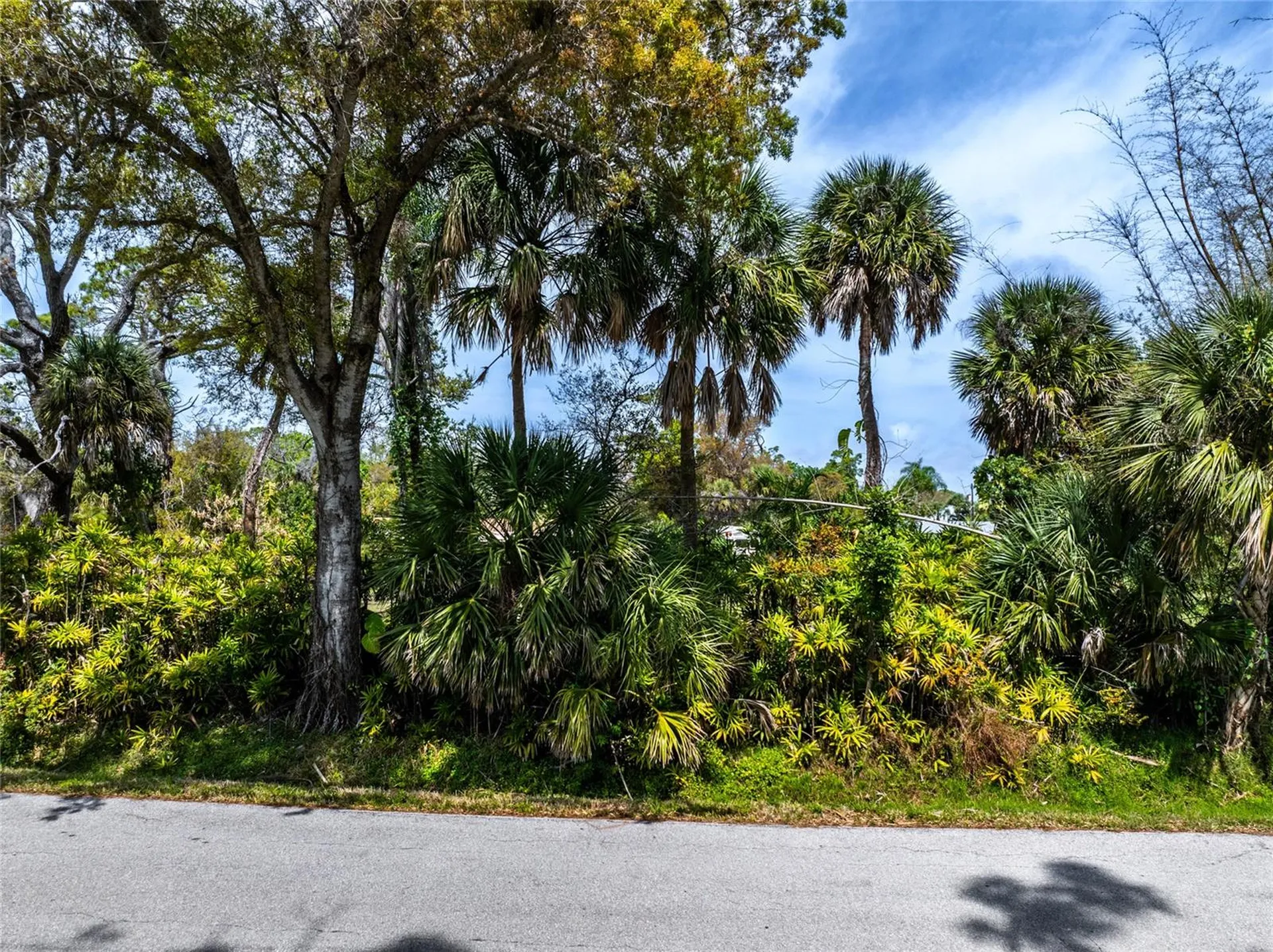 Pineapple Street Englewood FL 34223