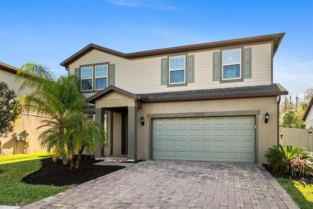 19261 Mossy Pine Drive Tampa FL 33647