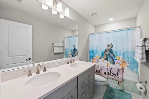 19261 Mossy Pine Drive Tampa FL 33647