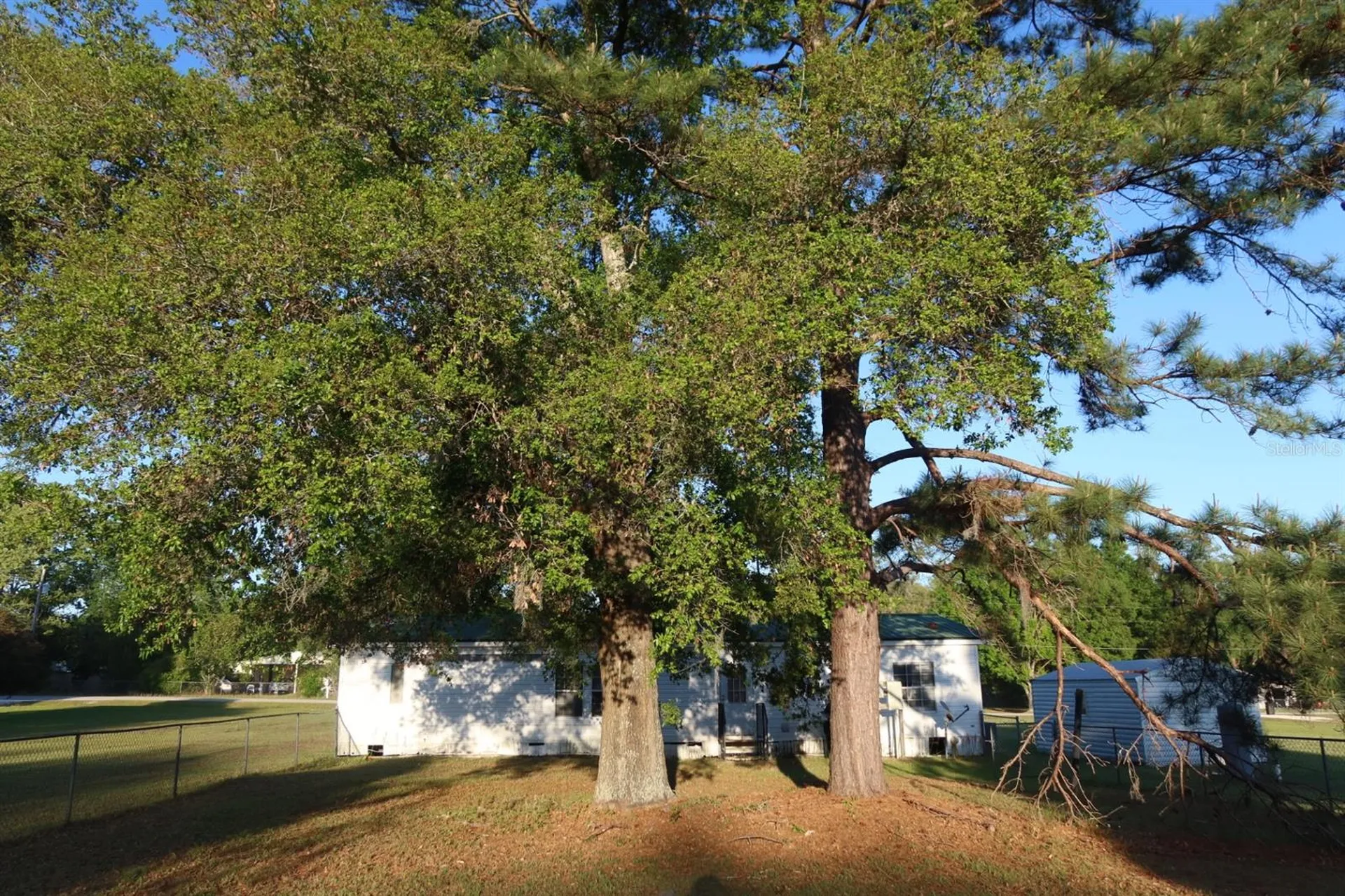 262 SW Lynnwood Avenue Lake City FL 32024