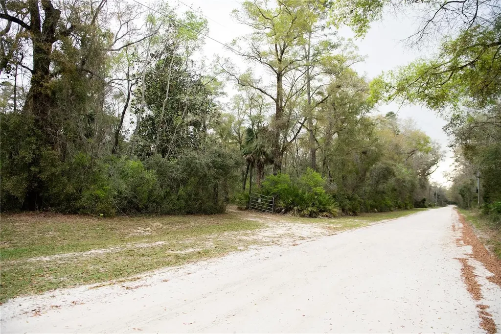 119 SE Dorthie Land Road Branford FL 32008