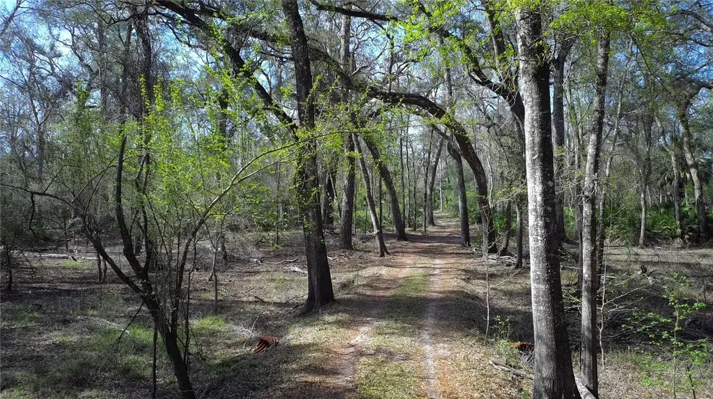 119 SE Dorthie Land Road Branford FL 32008