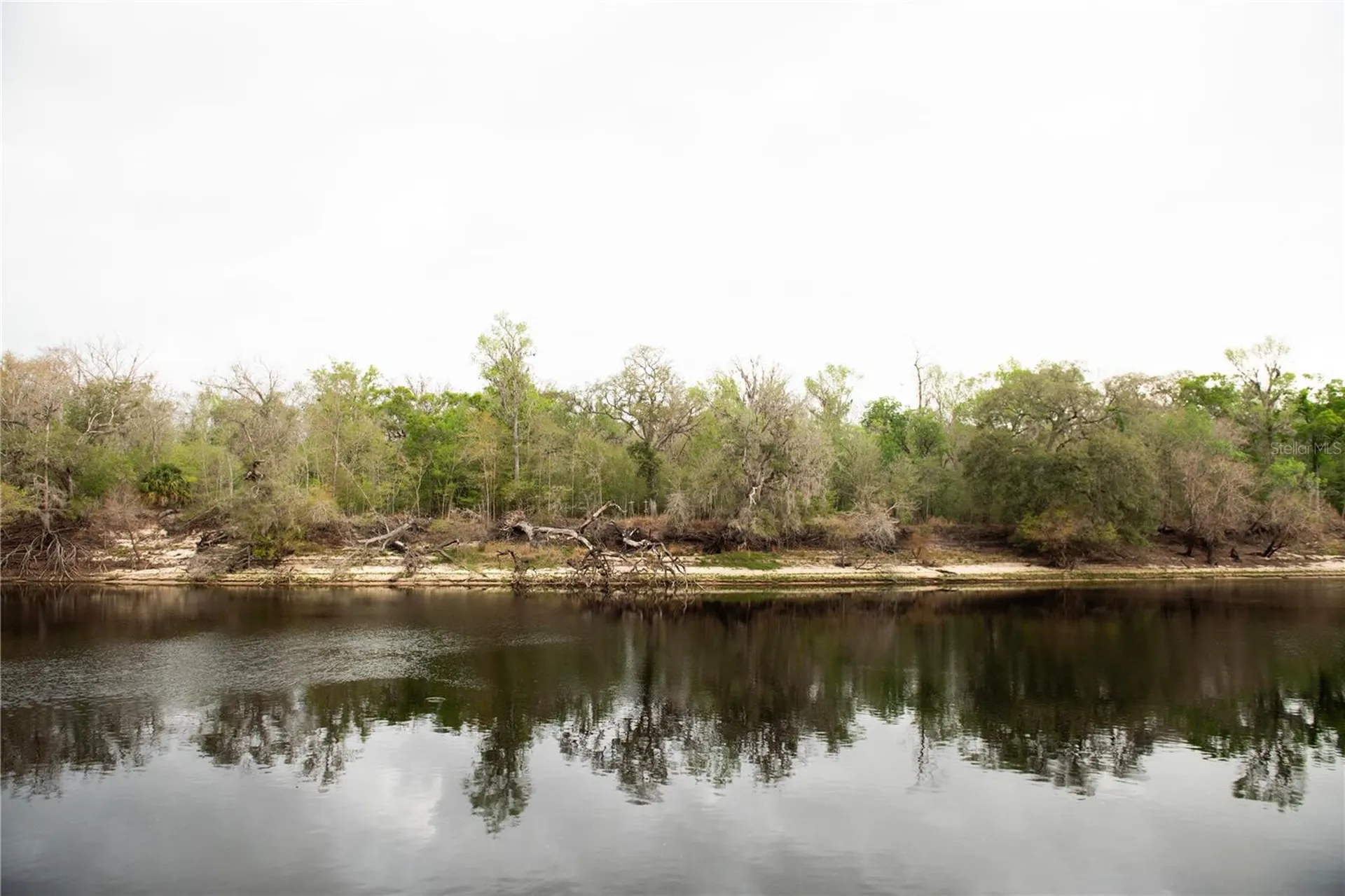 119 SE Dorthie Land Road Branford FL 32008
