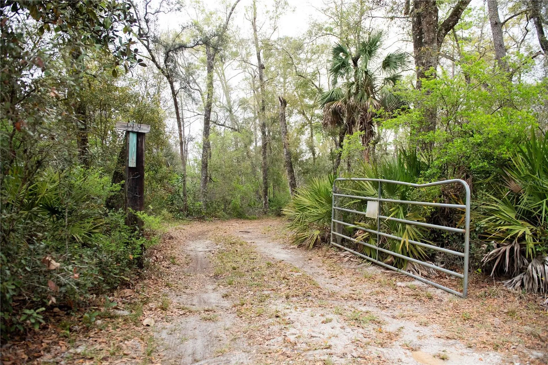 119 SE Dorthie Land Road Branford FL 32008