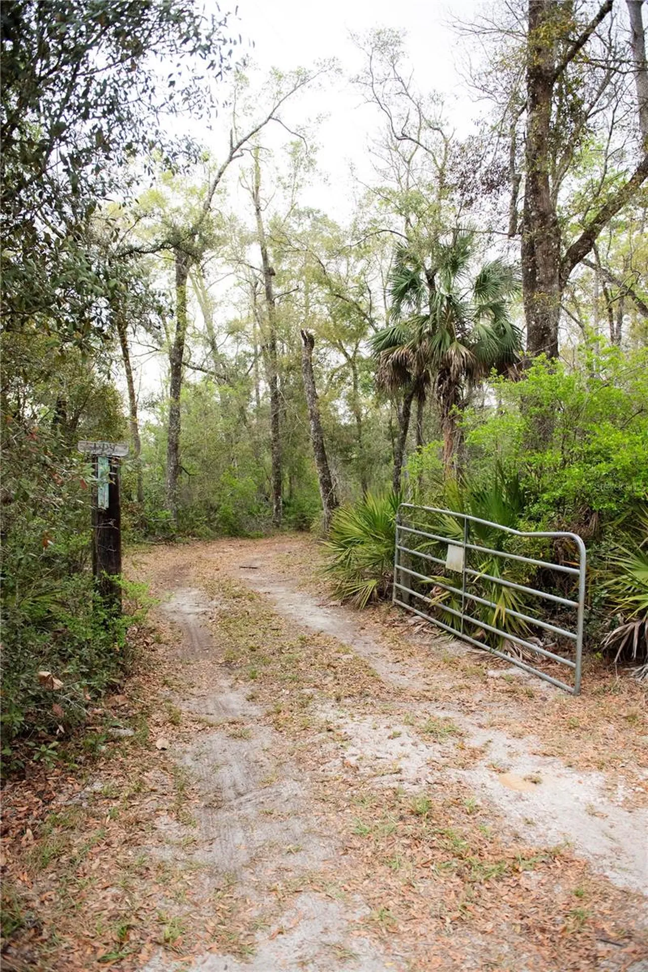 119 SE Dorthie Land Road Branford FL 32008