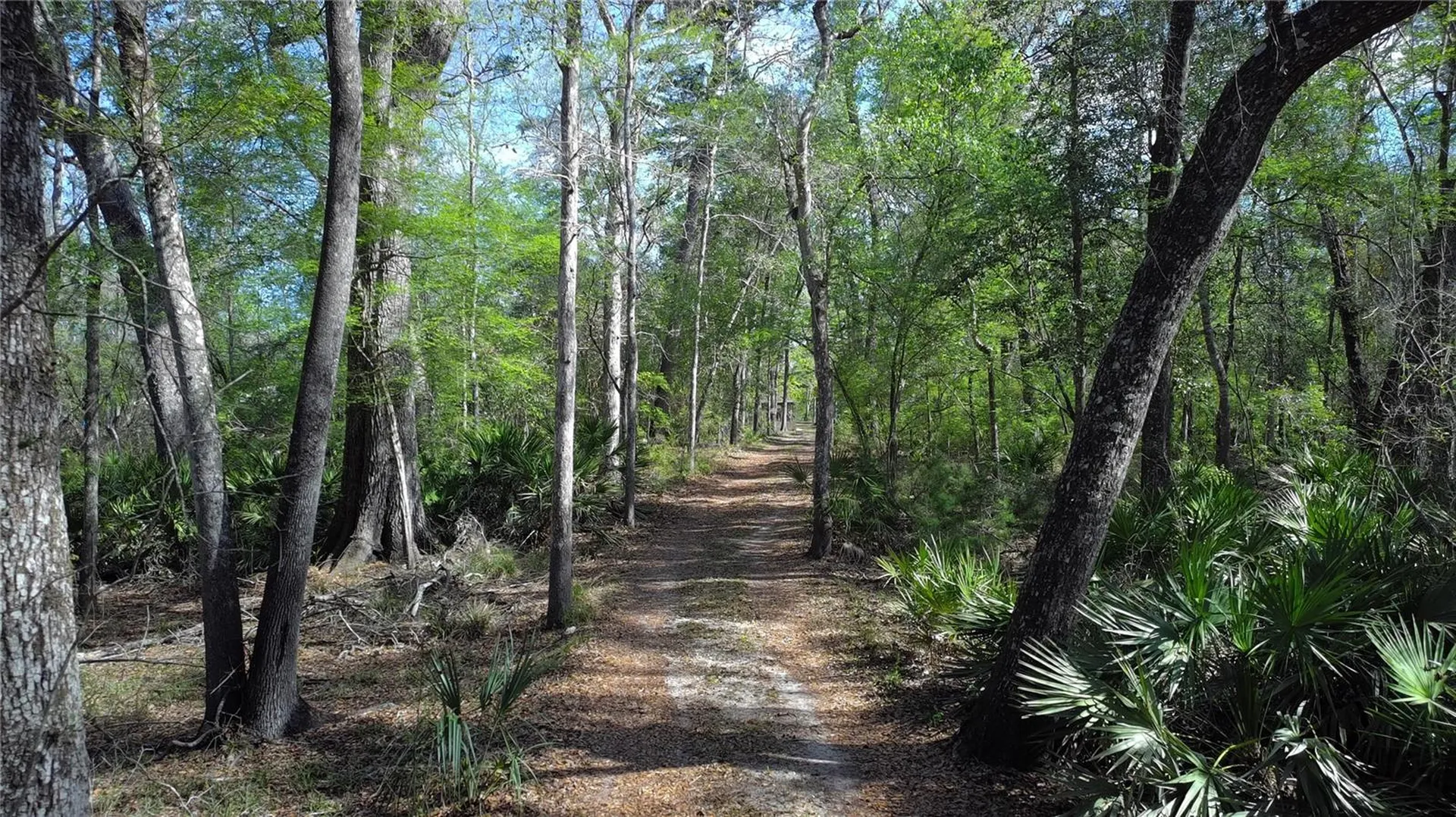 119 SE Dorthie Land Road Branford FL 32008