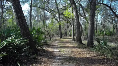 119 SE Dorthie Land Road Branford FL 32008