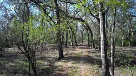 119 SE Dorthie Land Road Branford FL 32008