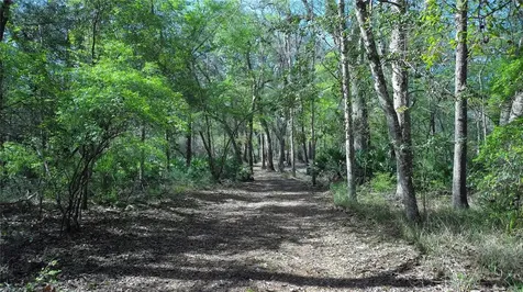 119 SE Dorthie Land Road Branford FL 32008
