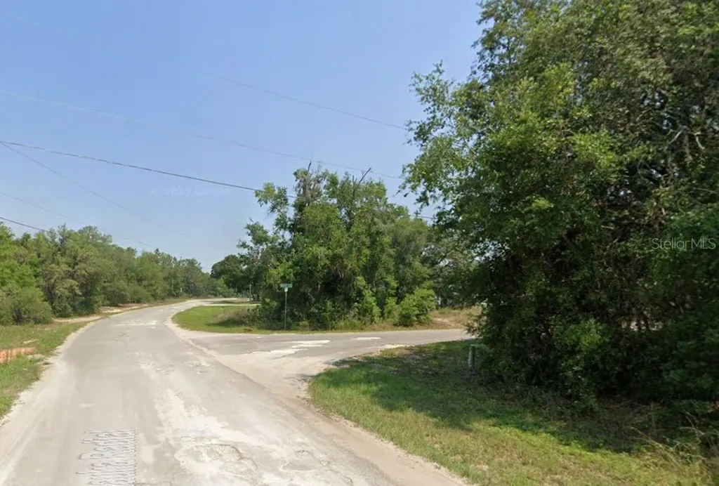 Lot 1 Maluka Radial Ocklawaha FL 32179