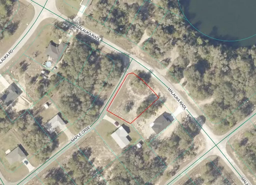 Lot 1 Maluka Radial Ocklawaha FL 32179