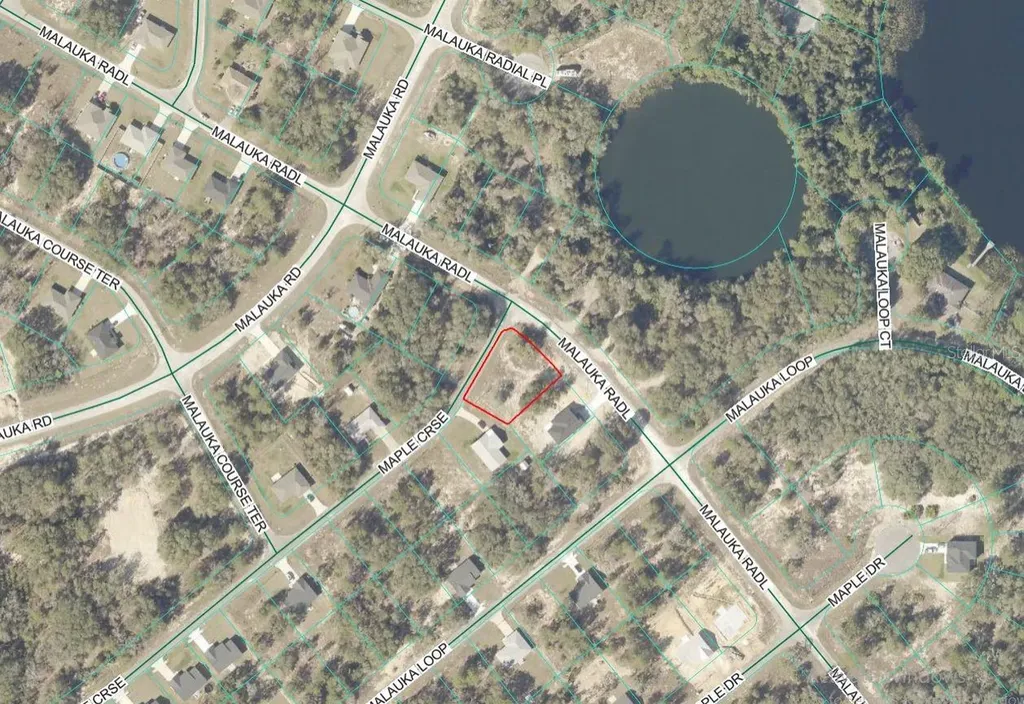 Lot 1 Maluka Radial Ocklawaha FL 32179