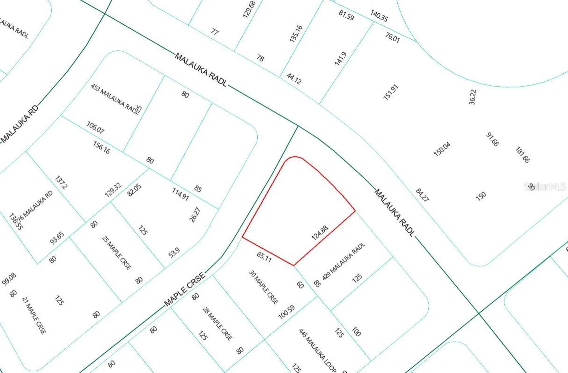 Lot 1 Maluka Radial Ocklawaha FL 32179