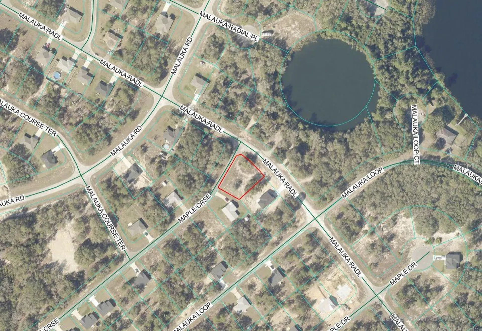 Lot 1 Maluka Radial Ocklawaha FL 32179
