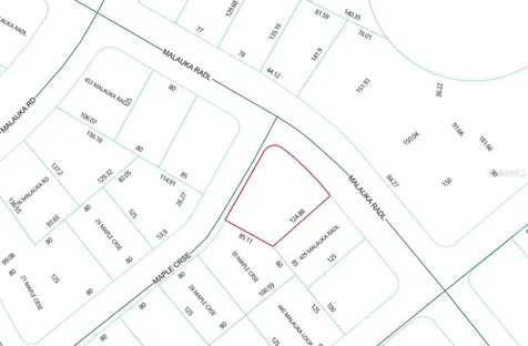 Lot 1 Maluka Radial Ocklawaha FL 32179