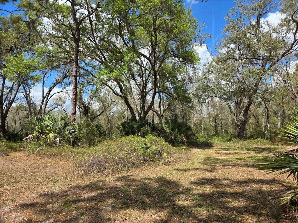 12503 Avery Road Thonotosassa FL 33592