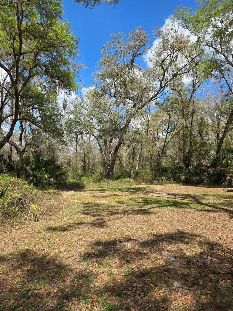 12503 Avery Road Thonotosassa FL 33592