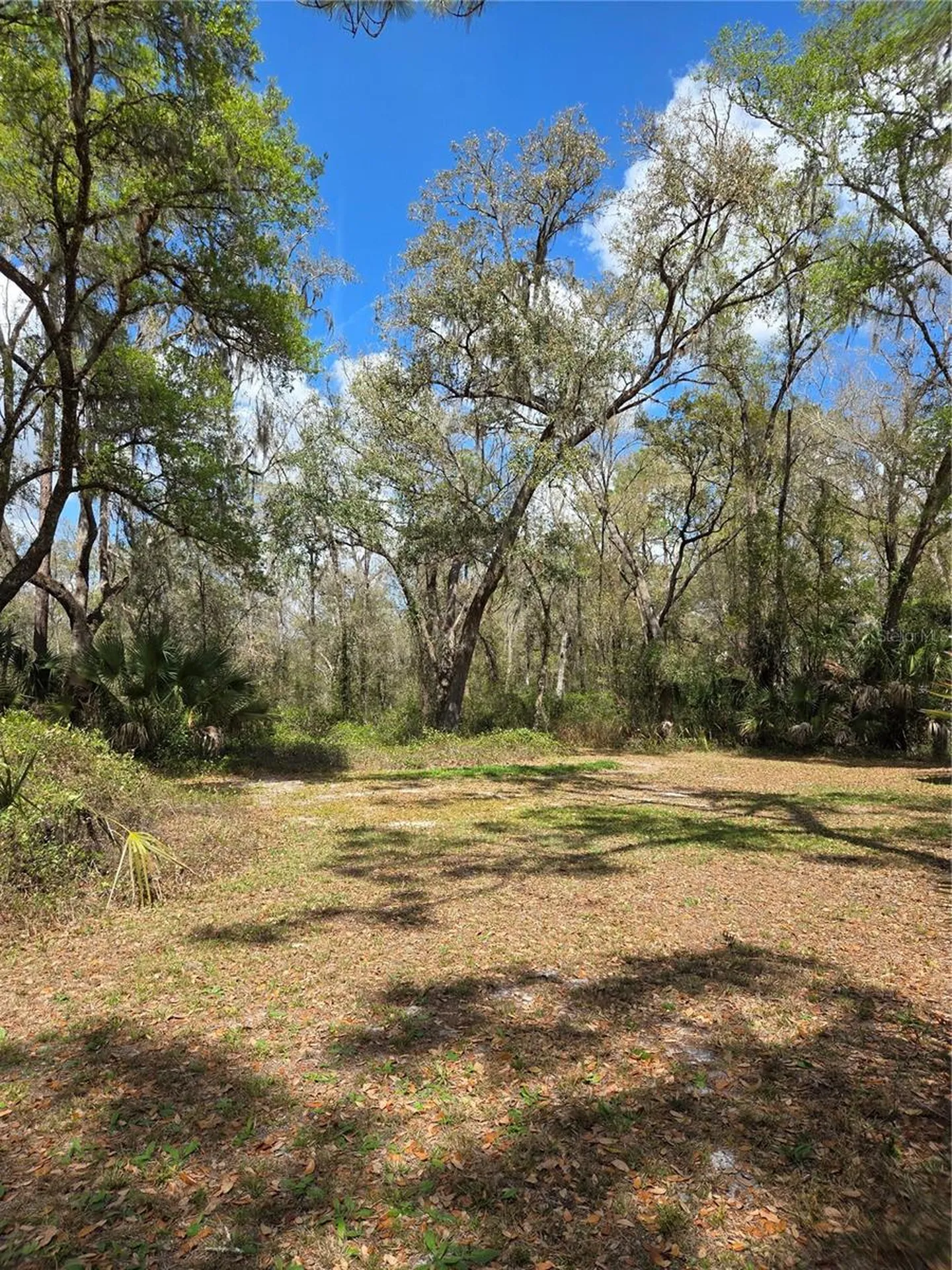 12503 Avery Road Thonotosassa FL 33592