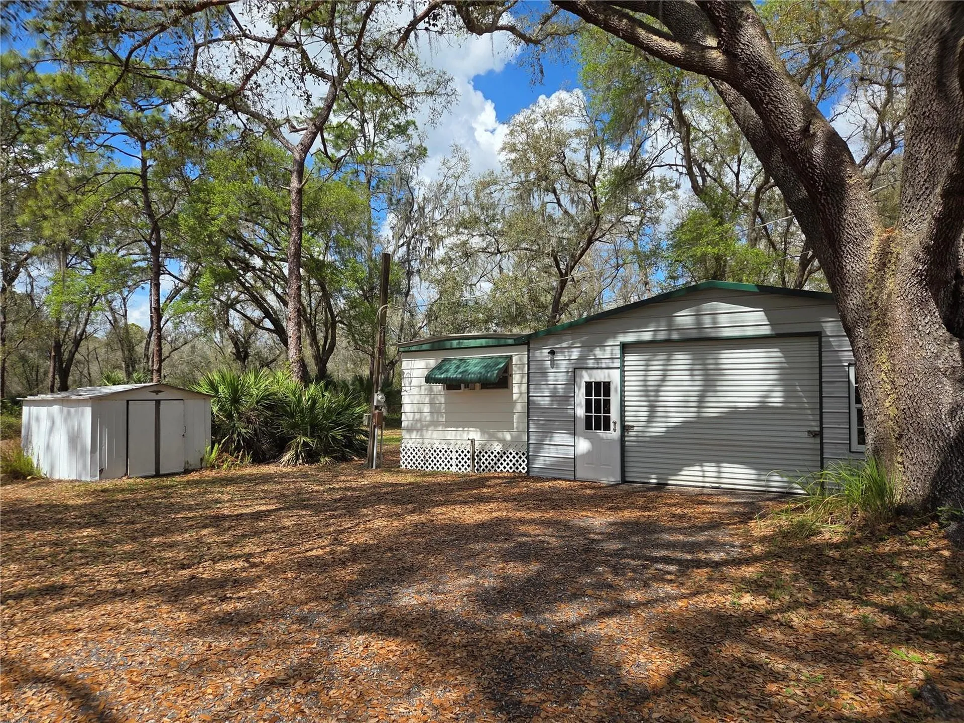 12503 Avery Road Thonotosassa FL 33592