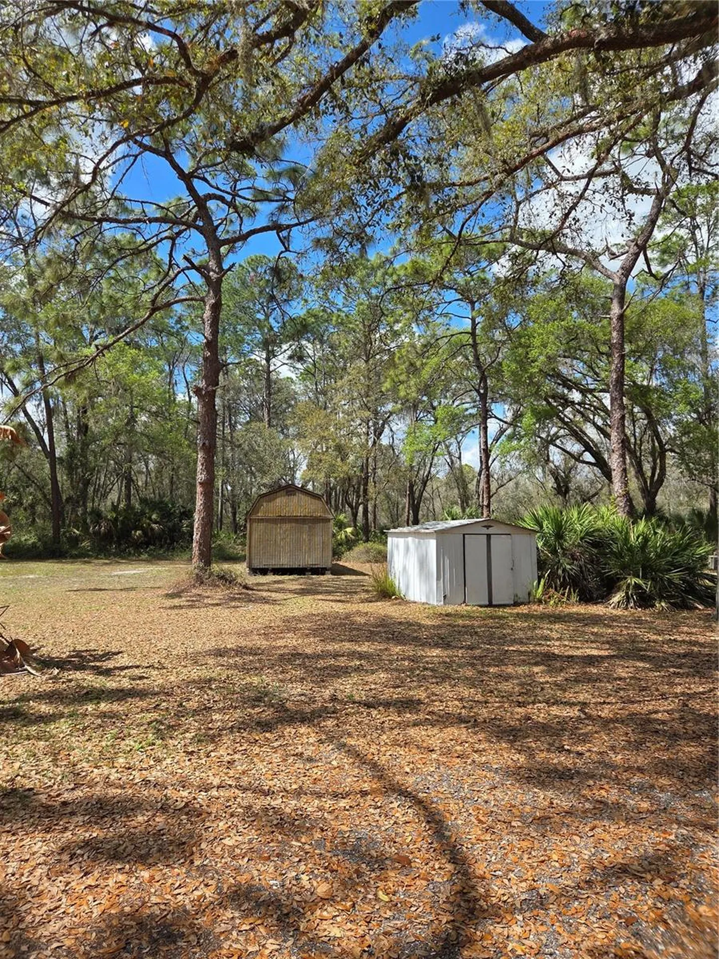 12503 Avery Road Thonotosassa FL 33592