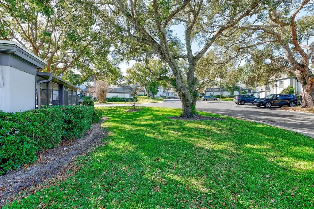 1287 N Mcmullen Booth Road Clearwater FL 33759