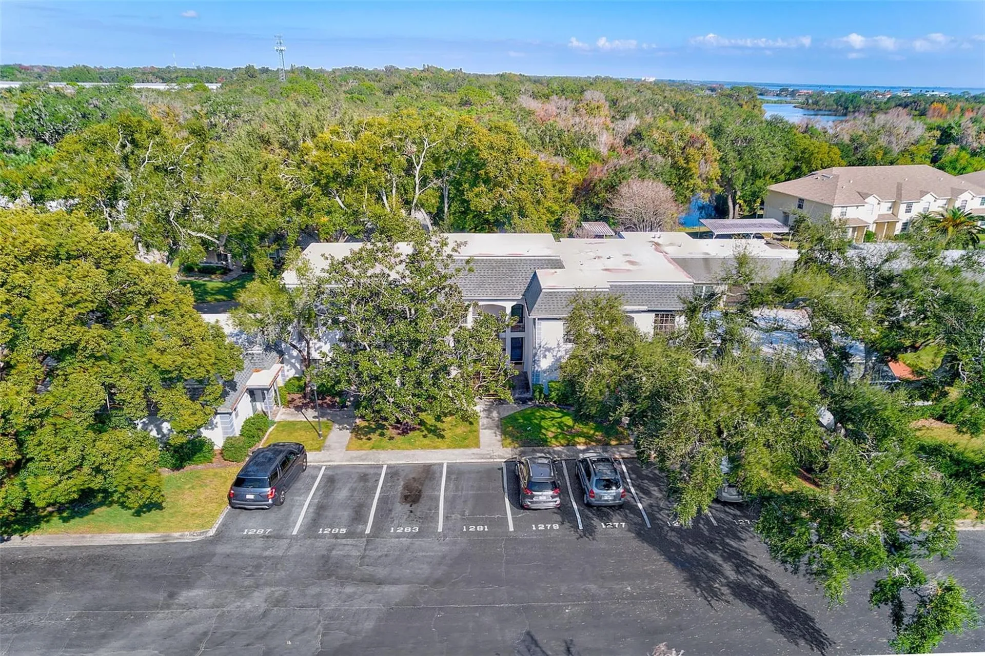 1287 N Mcmullen Booth Road Clearwater FL 33759