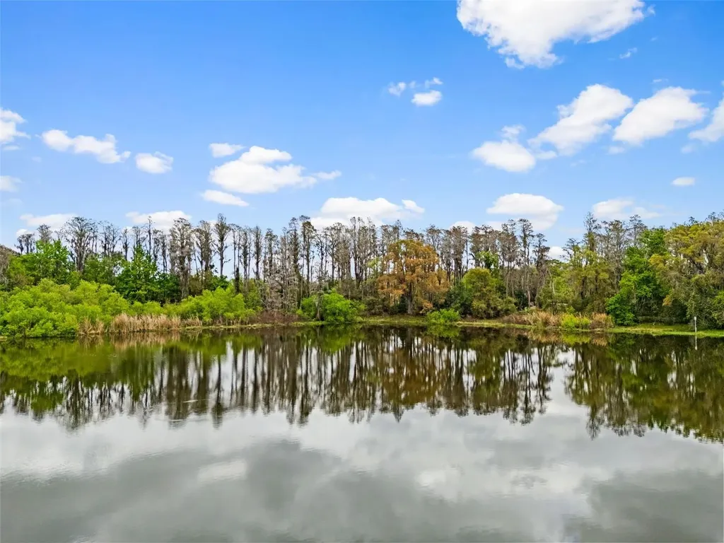 18150 Burrell Road Odessa FL 33556