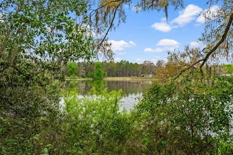 18150 Burrell Road Odessa FL 33556