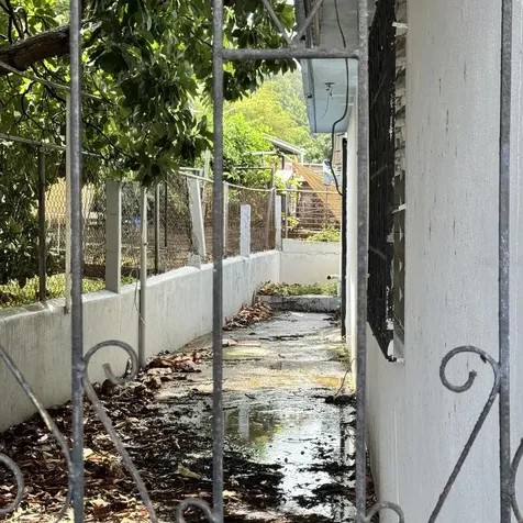 Calle 3 Urb. Flamboyan Manati PR 00674