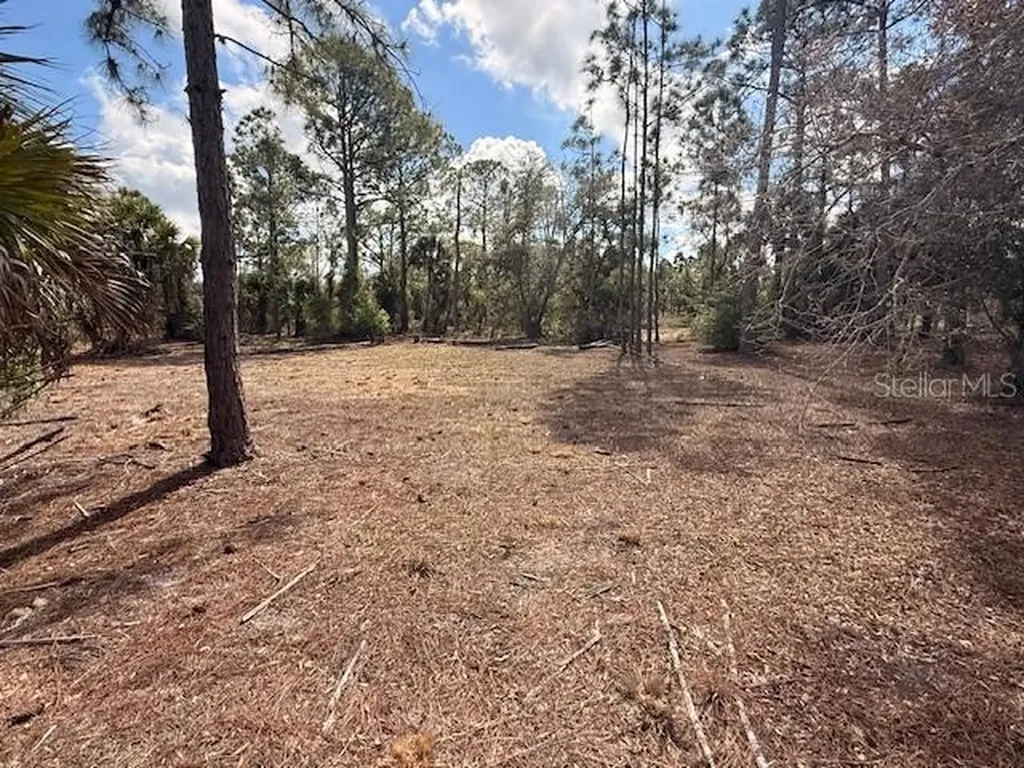 Spoonhill Road North Port FL 34291