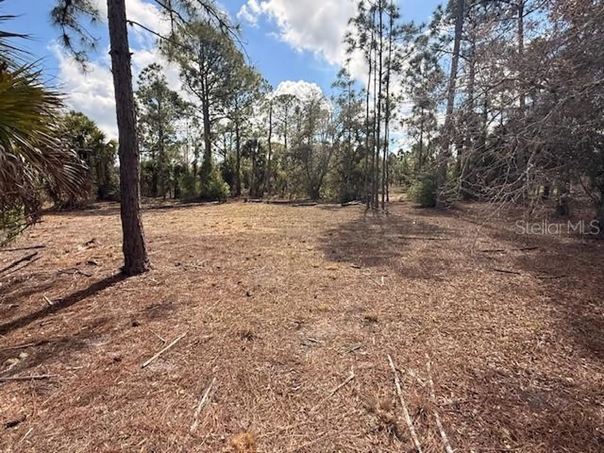 Spoonhill Road North Port FL 34291