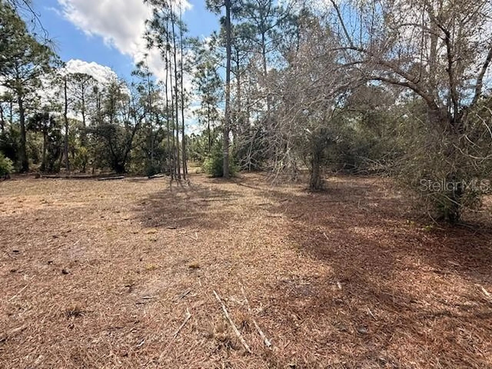 Spoonhill Road North Port FL 34291