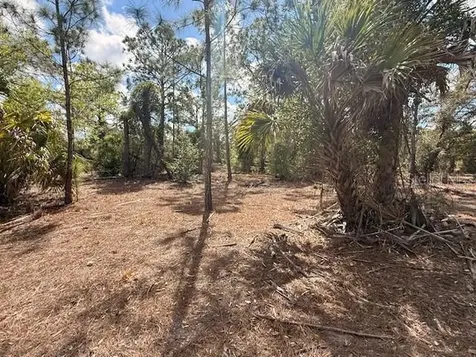 Spoonhill Road North Port FL 34291