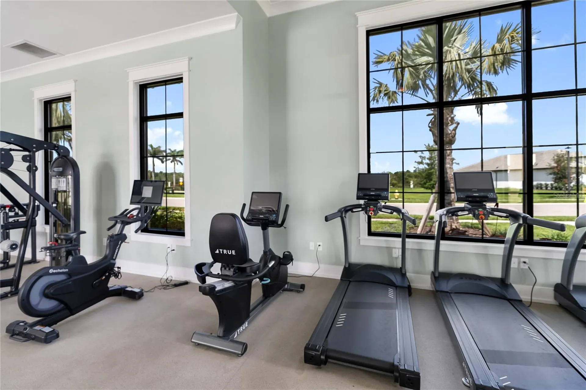 17506 Savory Mist Circle Bradenton FL 34211