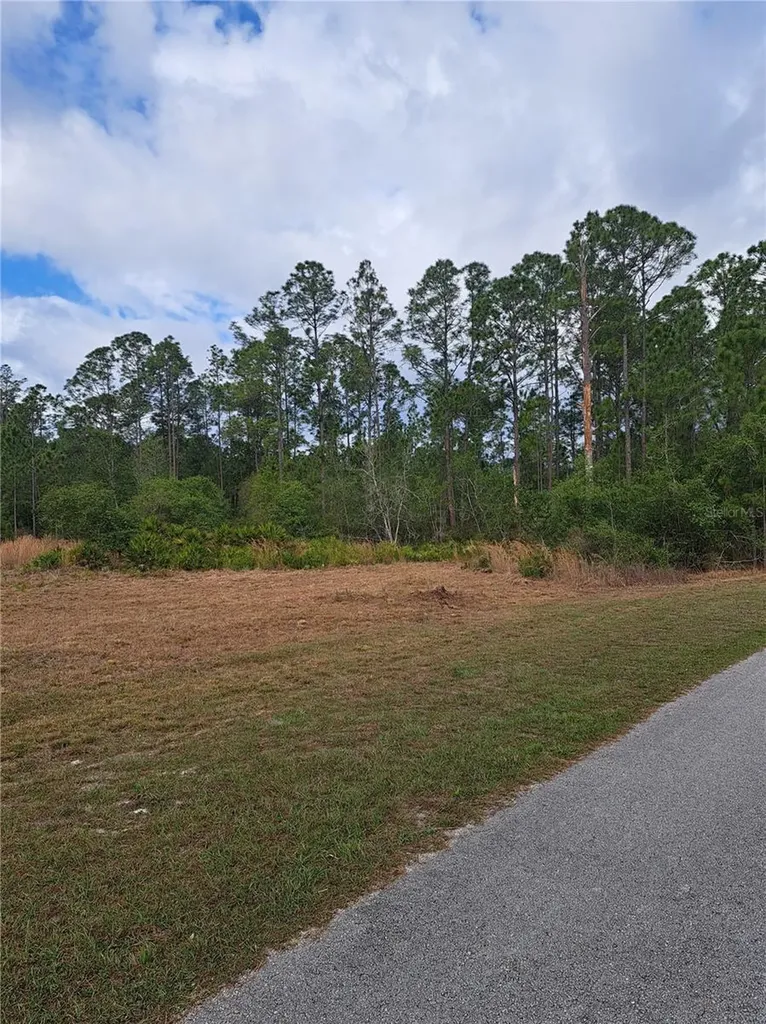 Greengrove Boulevard Clermont FL 34714