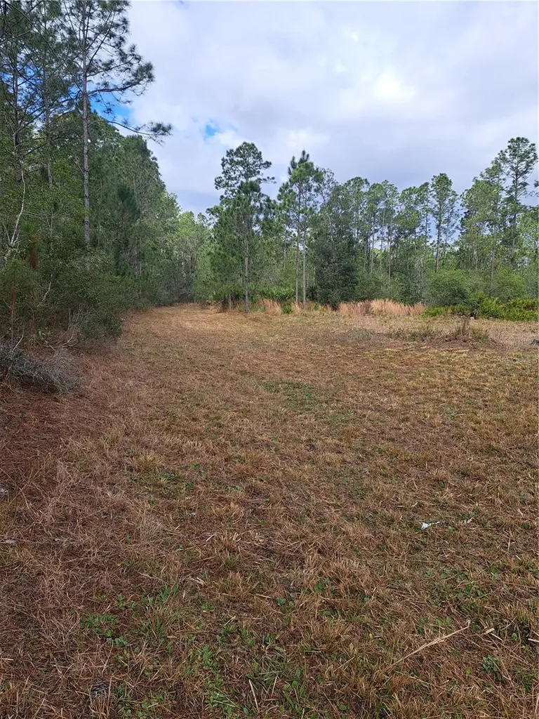 Greengrove Boulevard Clermont FL 34714